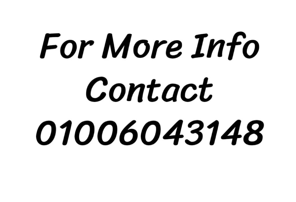 8131713 - Property Image 4